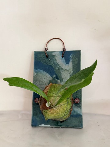 水泥植板/植物上板植板