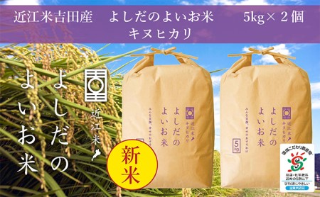 令和5年産新米　よしだのよいお米 近江米キヌヒカリ5kg×2