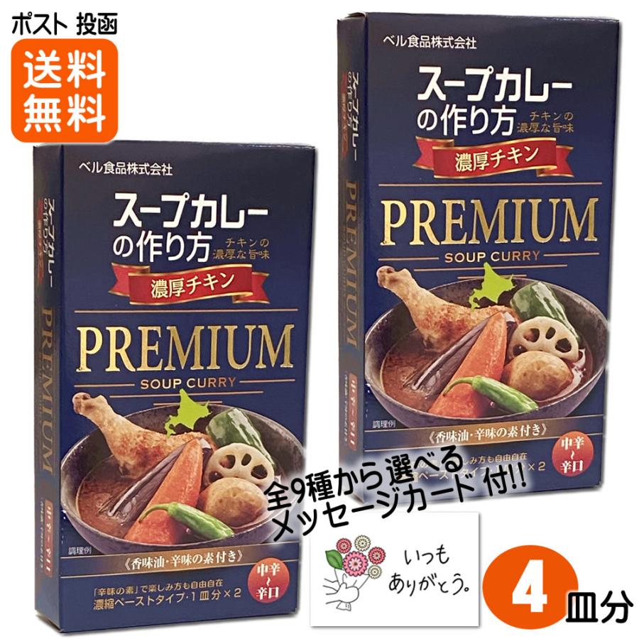 スープカレーの作り方スープカレー用ペースト 2皿分×2箱