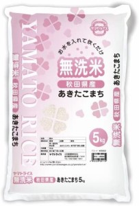 秋田県産 無洗米 あきたこまち 5kg 令和4年産