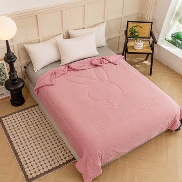 【PLAY BOY】極凍涼感夏日冰冰被 2入(涼被/涼感被/冷氣毯)多款任選