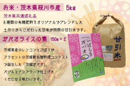 甘引米 (5kg) ガパオライスの素 ホッキ味噌 しらすアヒージョ セット シラス おかず こめ コメ 時短 （茨城県共通返礼品 桜川市）