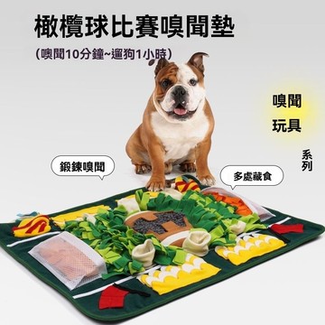 【台灣出貨】寵物嗅聞墊 橄欖球寵物嗅聞 狗狗訓練 益智 室內解壓 遛狗精力 慢食玩具 寵物覓食墊 狗狗玩具 狗狗嗅聞墊