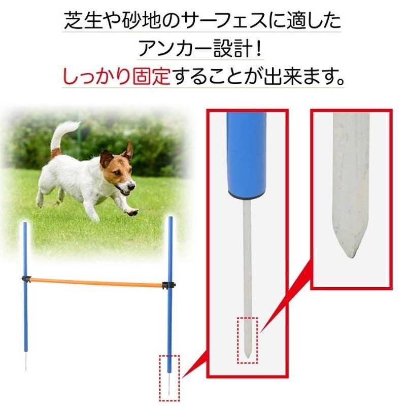 ストア ペット用 アジリティ