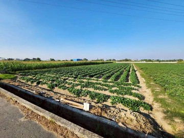 近新化外環道路方正農地｜台南市新化區新化段太子廟小段