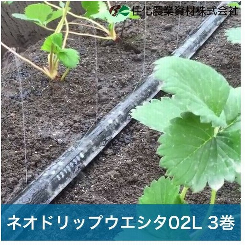 住化農業資材 灌水チューブ ハウス向け ネオドリップウエシタ02l Wb9004 0m 3巻 70mまで均一潅水 潅水チューブ 灌水チューブ 散水チューブ 潅水 灌水 通販 Lineポイント最大0 5 Get Lineショッピング