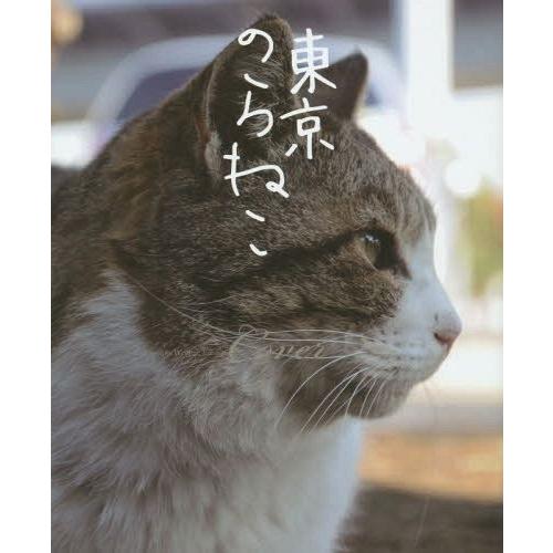 東京のらねこ カヴァー 著