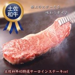 肉 牛肉 ステーキ A5土佐和牛 特選サーロインステーキ 300g×2枚セット〈高知市共通返礼品〉お歳暮 御歳暮