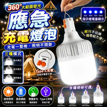 台灣出貨🔥應急燈泡 應急LED燈 夜市擺攤燈 夜市燈 露營燈 LED燈 工作燈 照明燈 充電燈 照明燈 戶外燈 usb燈