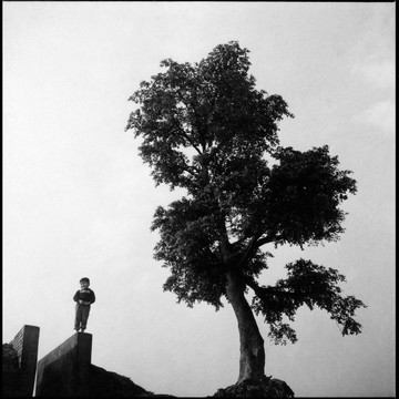 【停看聽音響唱片】【黑膠LP】林強 + 客人：臺灣之聲 (180g LP)