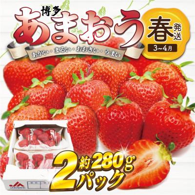 ふるさと納税 岡垣町 博多あまおう2パック(春)『2024年3〜4月発送』(岡垣町)