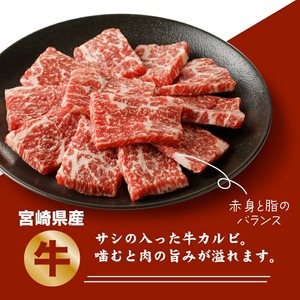 宮崎県産焼肉３種セット（牛・豚・鶏） 計６００ｇ  カット済み  K16_0079_1