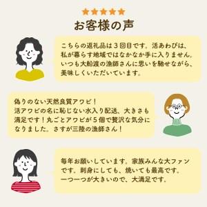 ふるさと納税 天然 活あわび 3個 約300g 刺身 産地直送 鮑 アワビ三陸産 蝦夷あわび 岩手県産 あわび 活あわび 冷蔵あわび 岩手県大船渡市