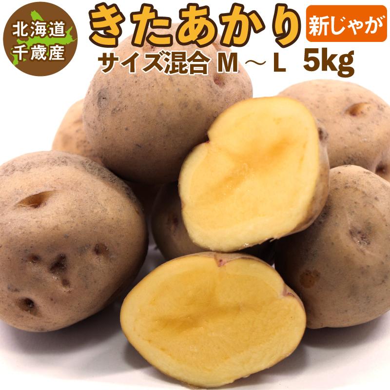 北海道産 きたあかり 新じゃが Ｍ〜Ｌサイズ混合 5kg  じゃがいも ジャガイモ キタアカリ 北あかり 送料無料