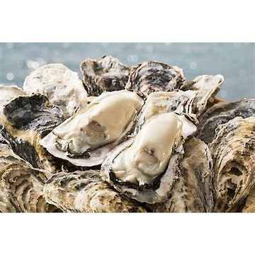 生蠔 日本生蠔 中秋烤肉  牡蠣 4-5顆300至400克 全家799免運   [誠實討海人]