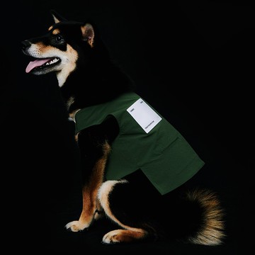 yama paws / basalt 綠色功能背心