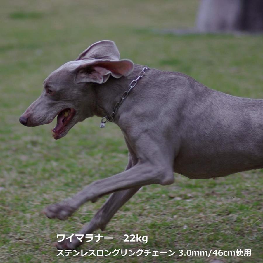 ＜3.0mm 66cm＞BLCステンレスロングリングチェーン 中・大型犬用