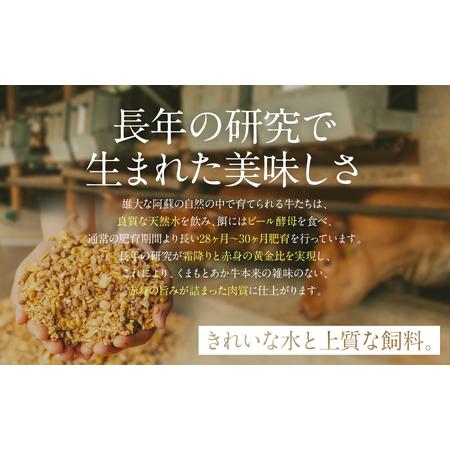 ふるさと納税 あか牛もつ鍋セット (あか牛ミックスホルモン500g、もつ鍋スープ500ml×2) 熊本県八代市