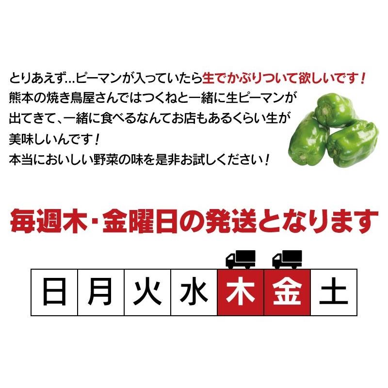 398菜BOX（サンキューやさいボックス）野菜 10品 詰め合わせ 夏野菜 冬野菜 冷蔵便 おおしま屋出荷 送料無料 ギフト 大嶌屋（おおしまや）