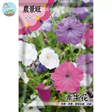 【原廠包裝】牽牛花種子(Morning glory)2克裝 爬藤植物 圍籬陽台綠化 四季開花 易爆盆好種植 新手必備