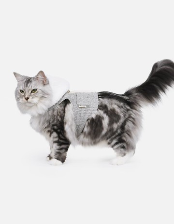 Grey Among胸背衣 (冬款絨毛底布)