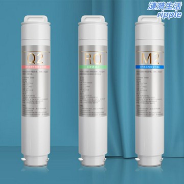 【原廠品質】碧雲泉濾芯 淨水器濾芯 淨水機濾芯 濾水器濾芯 通用濾芯 三生宜系列 適用於G3/G7/R306/307/308/505/506/W5型號 直飲過濾