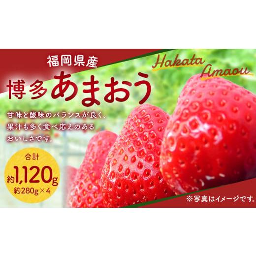 ふるさと納税 福岡県 直方市 福岡県産 博多 あまおう 約1.12kg（約280g×4パック） いちご