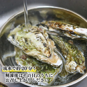 牡蠣 冷凍 8個 産地直送 生食用 殻付 