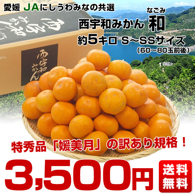 愛媛県より産地直送 JAにしうわ みなの共選 西宇和みかん 和 (なごみ) SからSSサイズ 5キロ(60玉から80玉前後) 送料無料 蜜柑 ミカン