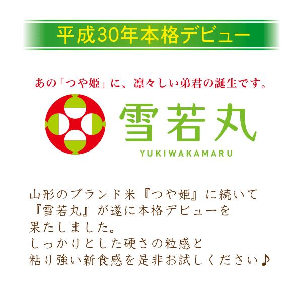 ポイント5倍 無洗米 山形県産雪若丸 2合(300g)×1袋 メール便送料込み 令和5年産 米  お試し（SL）