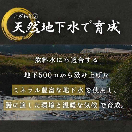 国産きざみうなぎ ごぼう入り（タレ付き） 合計510g（85g×6袋）