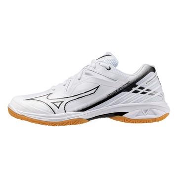 美津濃 MIZUNO WAVE CLAW 3 男女 羽球鞋 71GA244328