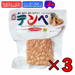 ヤマク テンペ 100g 3個 ヤマク食品 スパウトパック スパウト パック 個包装 小分け 大豆 大豆ミート エスニック 発酵食品 テンペ菌 ヴィ