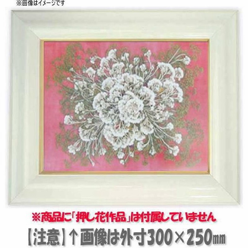 額縁 フレーム 押し花用額縁 681 白 押し花8号サイズ 460 338mm Os A 通販 Lineポイント最大0 5 Get Lineショッピング