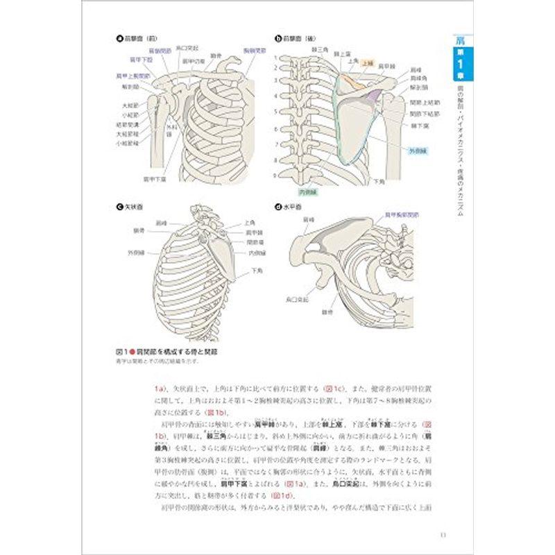 肩関節痛・頸部痛のリハビリテーション (痛みの理学療法シリーズ)