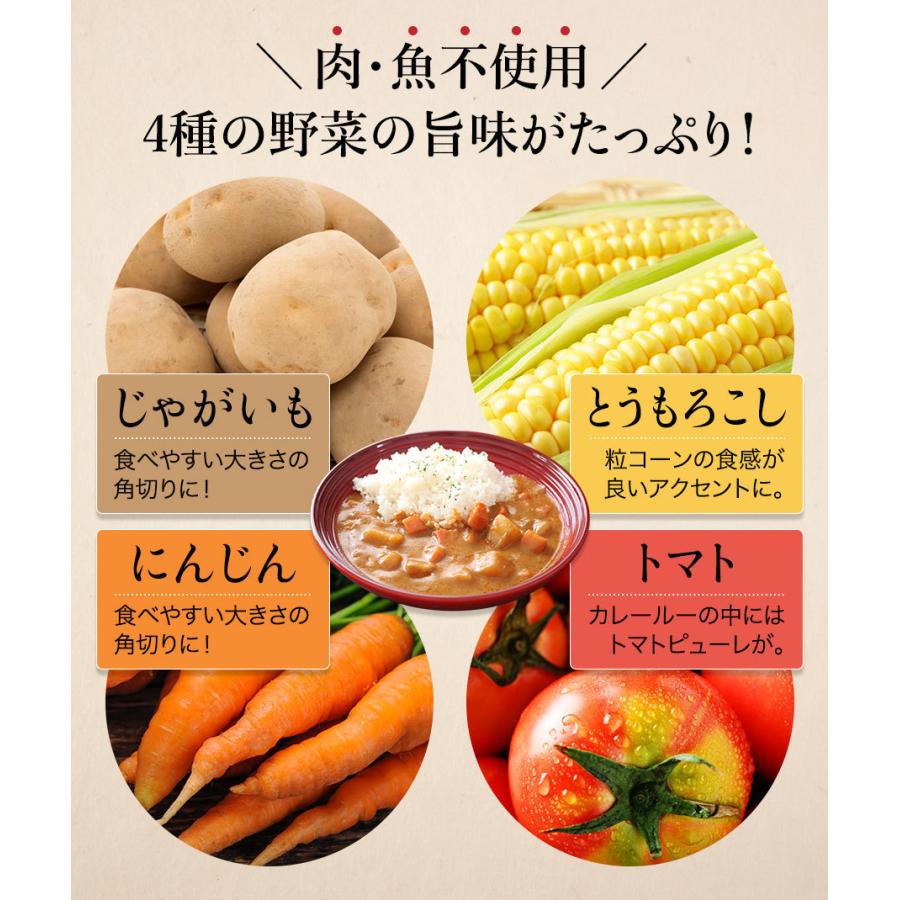 送料無料 野菜のヘルシーカレー 200g×2個 お手軽便