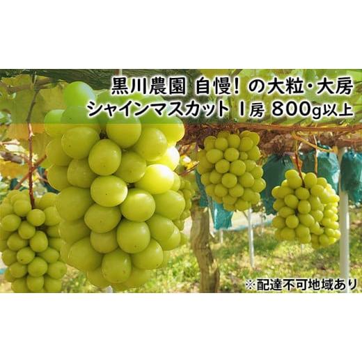 ふるさと納税 岡山県 里庄町 ぶどう 2024年 先行予約 黒川農園 自慢 の 大粒 大房 シャイン マスカット 1房 800g以上 ブドウ 葡萄  岡山県産 国産 フルーツ …