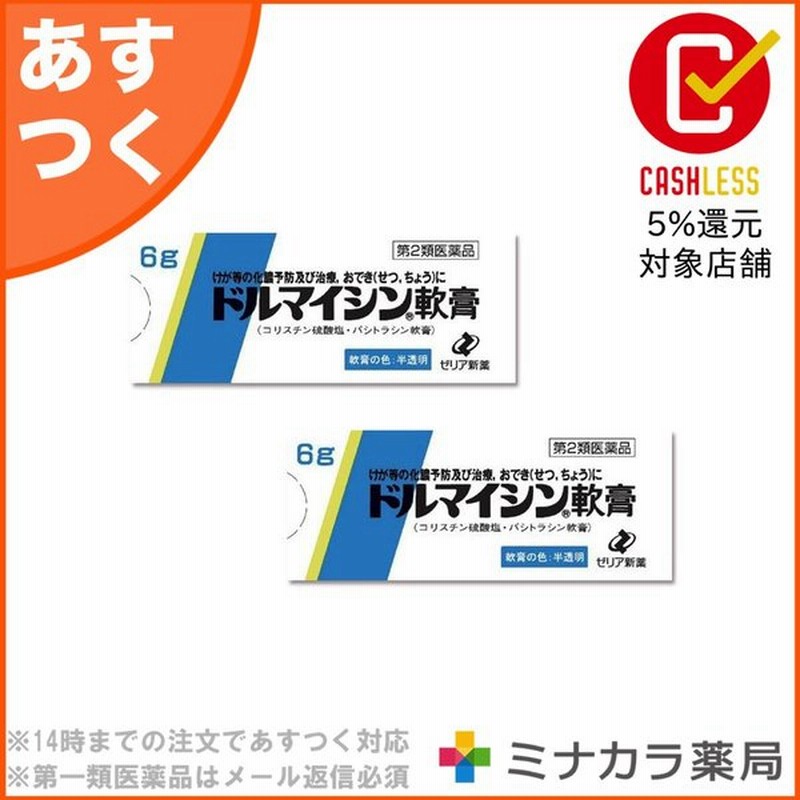 ドルマイシン軟膏 6g 外傷 やけどの化膿治療に 第2類医薬品 2個セット 通販 Lineポイント最大0 5 Get Lineショッピング