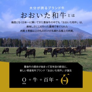 A01098　3Dフリーザーで急速冷凍。美味しさそのまま！おおいた和牛と和牛タンの食べ比べ焼肉セット　約480ｇ（秘伝のタレ３種類付き）