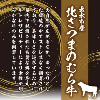 ふるさと納税 出水市 鹿児島県出水市産北さつまのむら牛リブロースサーロインセット　計1kg