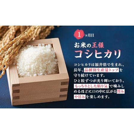 ふるさと納税 米 定期便 3ヶ月 農賊王のお宝分け 10kg 高島屋選定品 コシヒカリ こしひかり あきさかり イクヒカリ お米 おこめ こめ コメ 白米 .. 福井県若狭町