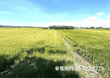 白河區綠色隧道旁臨路方正農地｜台南市白河區大排竹段