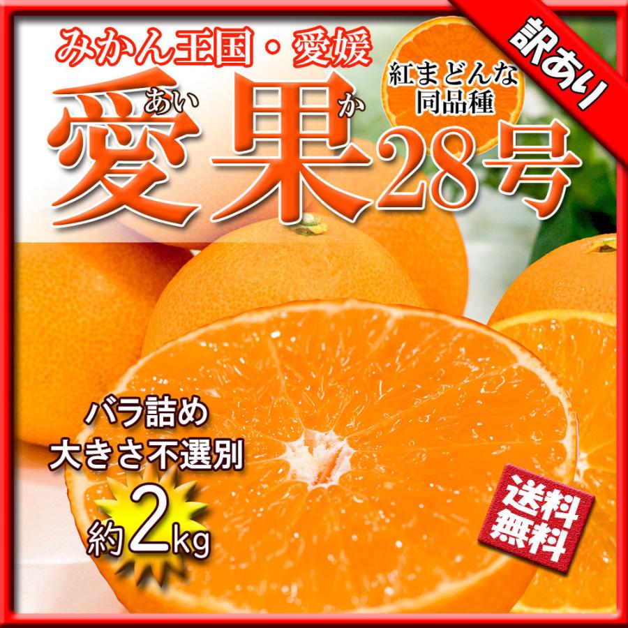 みかん 箱買い 訳あり 紅まどんな 愛果28号 家庭用 みかん べにまどんな 愛媛県産 約2ｋｇ 送料無料