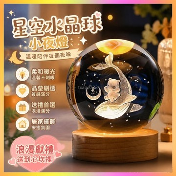 2025新款情人節唯美星空發光水晶球生日禮物小夜燈桌面擺件禮品 海鷗