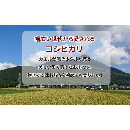 ふるさと納税 令和5年産新米　土浦市産 コシヒカリ　精米5kg　ホタルが舞う里のお米 ※離島への配送不可 茨城県土浦市