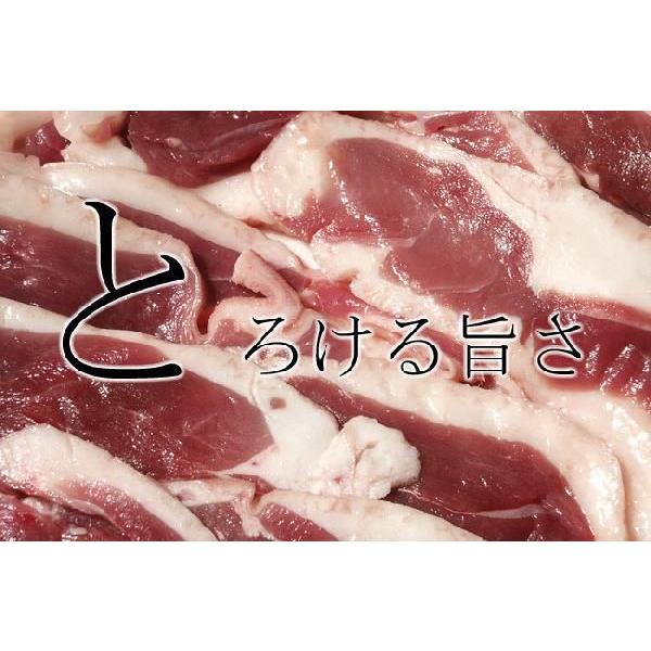 北海道名産 合鴨肉（あいがも）セット（かもローススライス160g×2、鴨ももスライス160g×2）