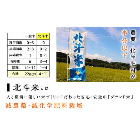 ふるさと納税 〈新米〉令和5年産 北斗米ゆめぴりか5kg お米 こめ 精米 白米 ごはん ブランド米 国産米 北海道産 東神楽町 北海道東神楽町