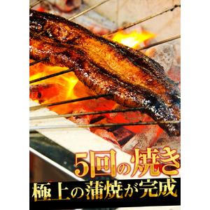 ふるさと納税 [001-b002] ふっくら焼き上げ！国産うなぎ蒲焼き4尾セット 福井県敦賀市