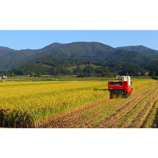 ふるさと納税 山形県 新庄市 令和5年産 漢方栽培 十四代目のササニシキ 5kg（精米）全6回 米 お米 おこめ 山形県 新庄市 F3S-1701