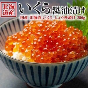 北海道 いくら醤油漬け 250g ｜ 鮭卵（北海道産）国産｜海鮮 海産物 ・遅れてごめんね敬老の日・お歳暮・送料無料